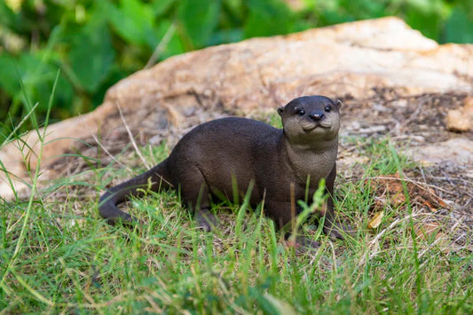 Standing Otter